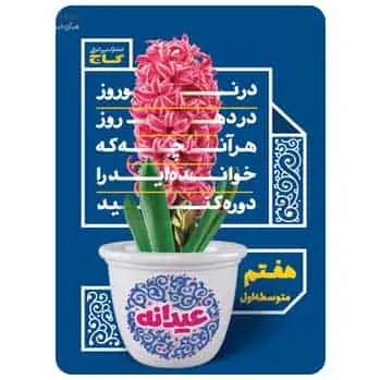 جامع هفتم سری عیدانه