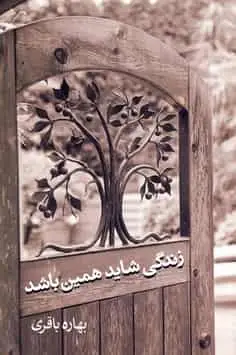 زندگی شاید همین باشد باقری آسیم