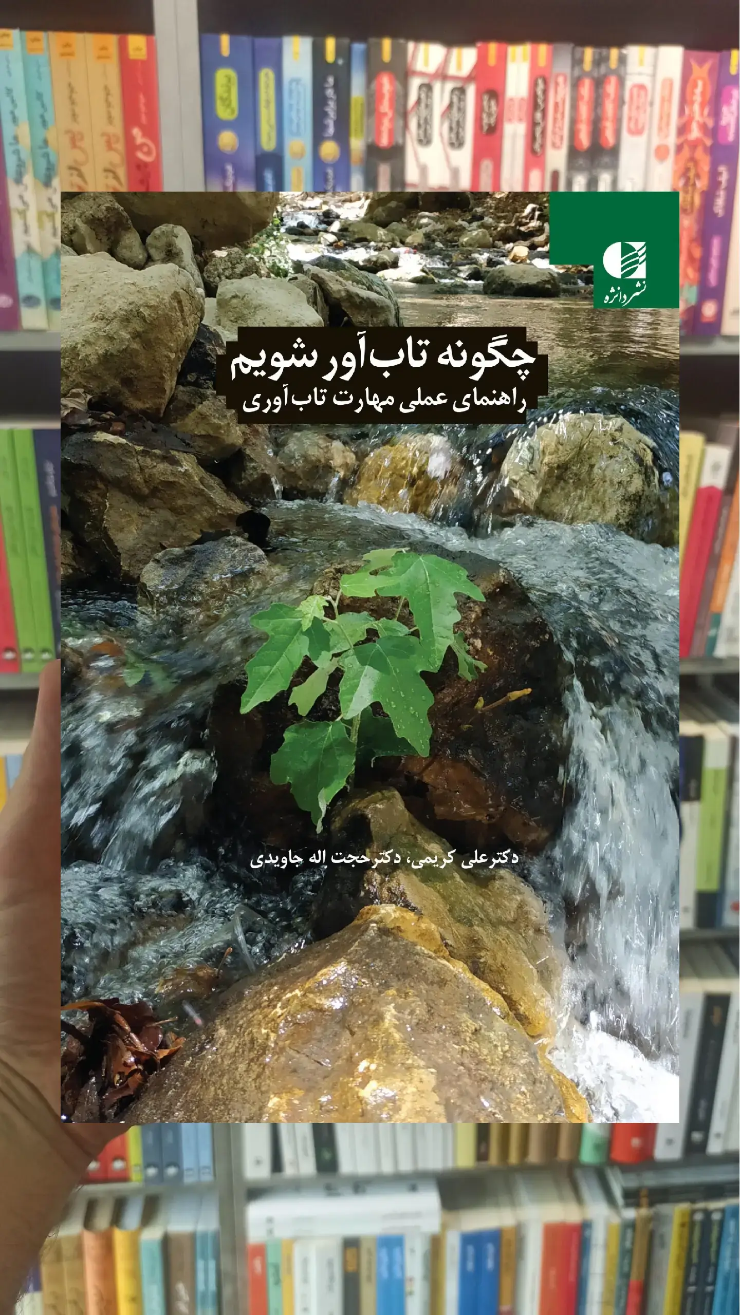 چگونه تاب آور شویم دانژه