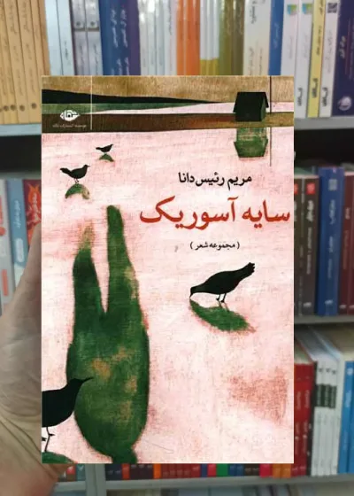 سایه آسوریک مریم رئیس دانا نگاه