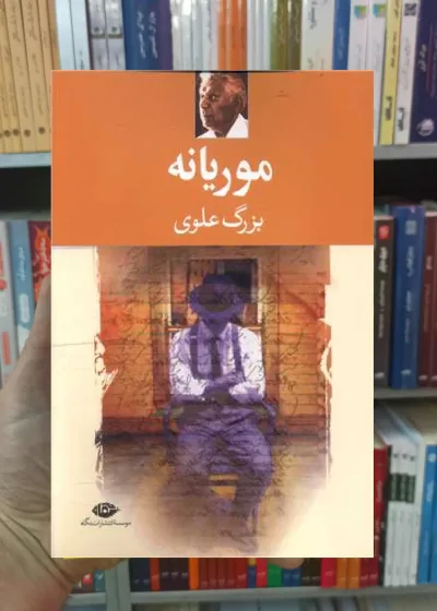 موریانه بزرگ علوی نگاه