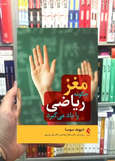 مغز چگونه ریاضی را یاد می گیرد ارجمند
