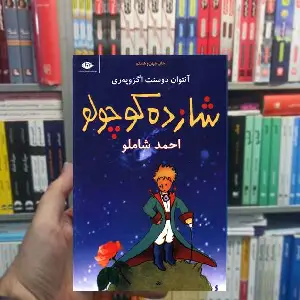 شازده کوچولو شاملو نگاه