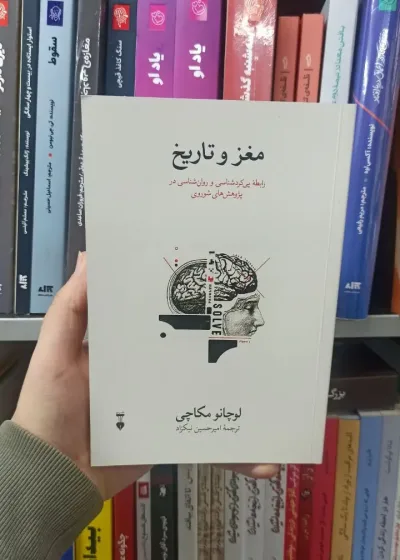 مغز و تاریخ لوچانو مکاچی نشرنو