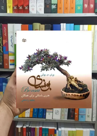 بونسای ( هنر باستانی برای همگان ) جوانه رشد