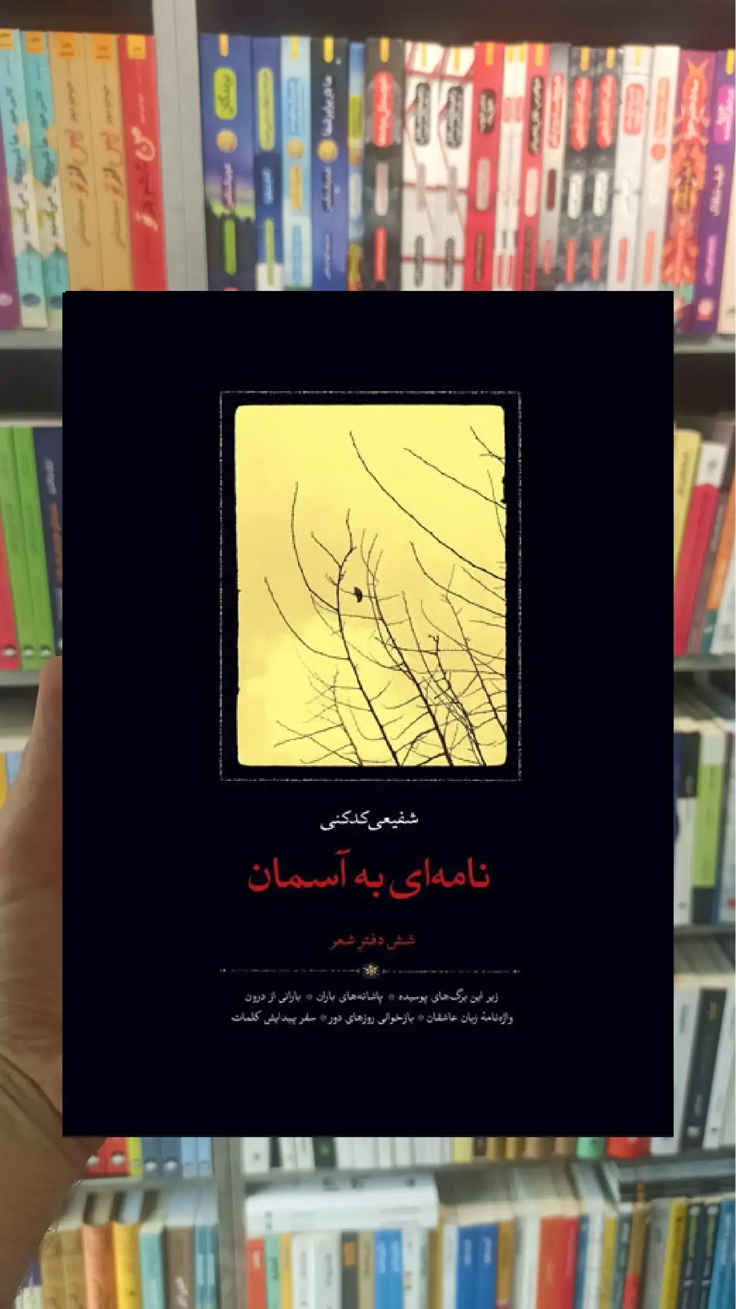 نامه ای به آسمان سخن