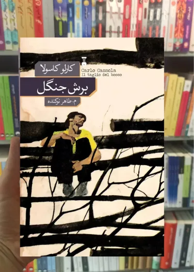 برش جنگل کارلو کاسولا نشرنو