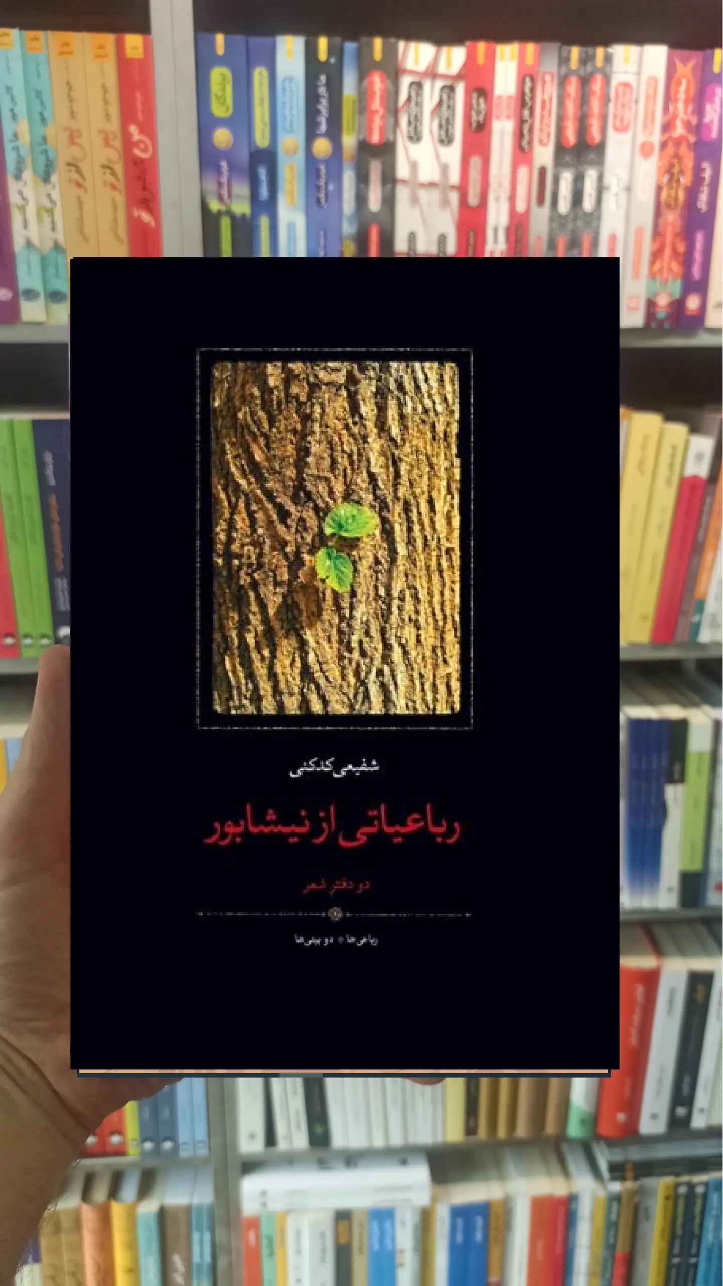 رباعیاتی از نیشابور دو دفتر شفیعی کدکنی سخن