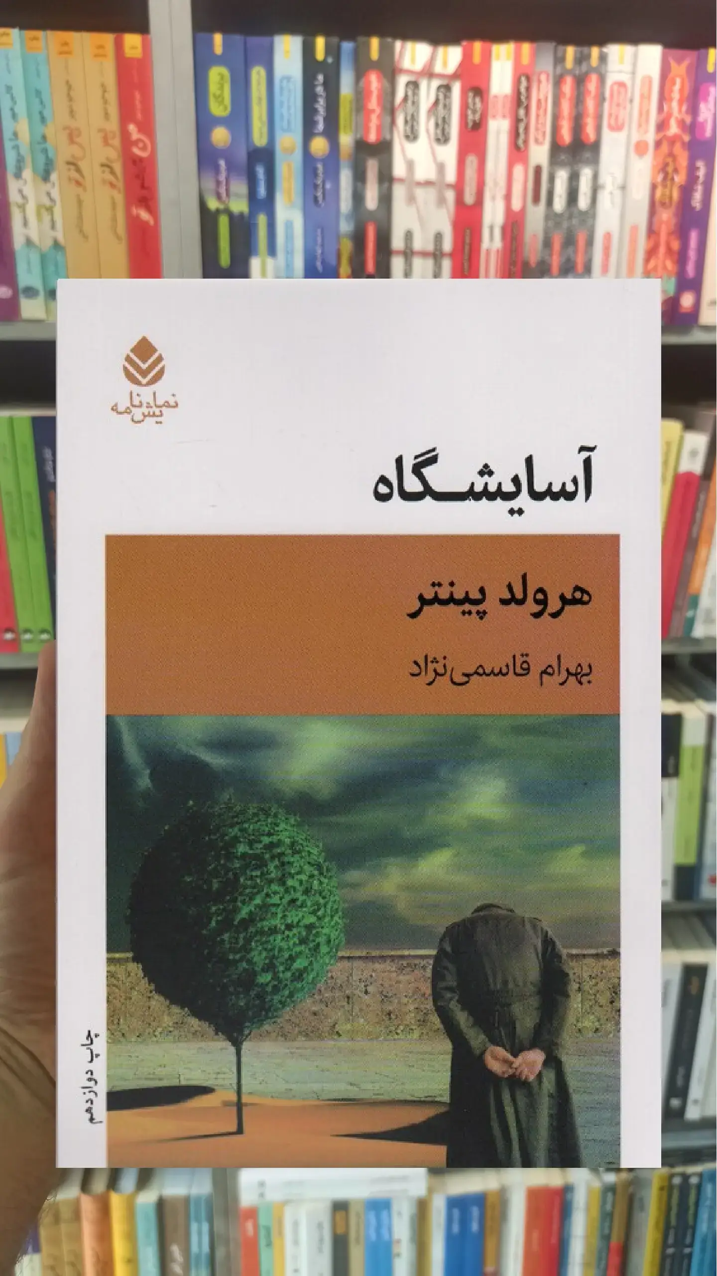 آسایشگاه هرولد پینتر قطره