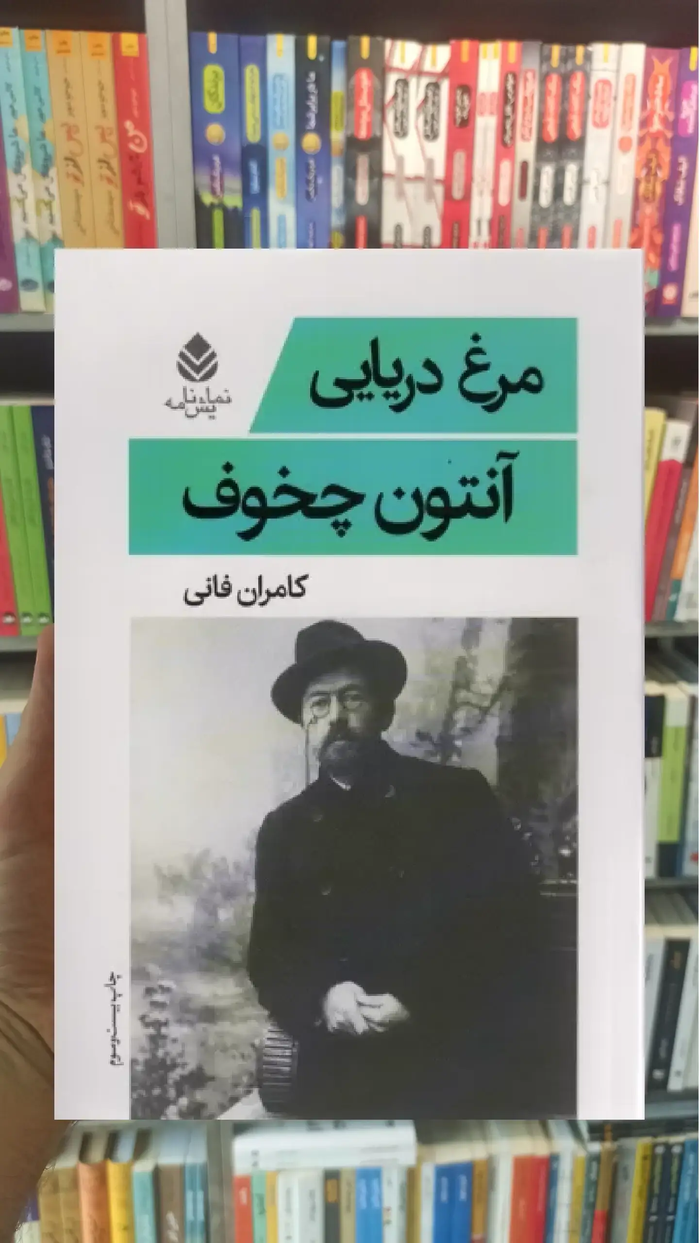 مرغ دریایی قطره
