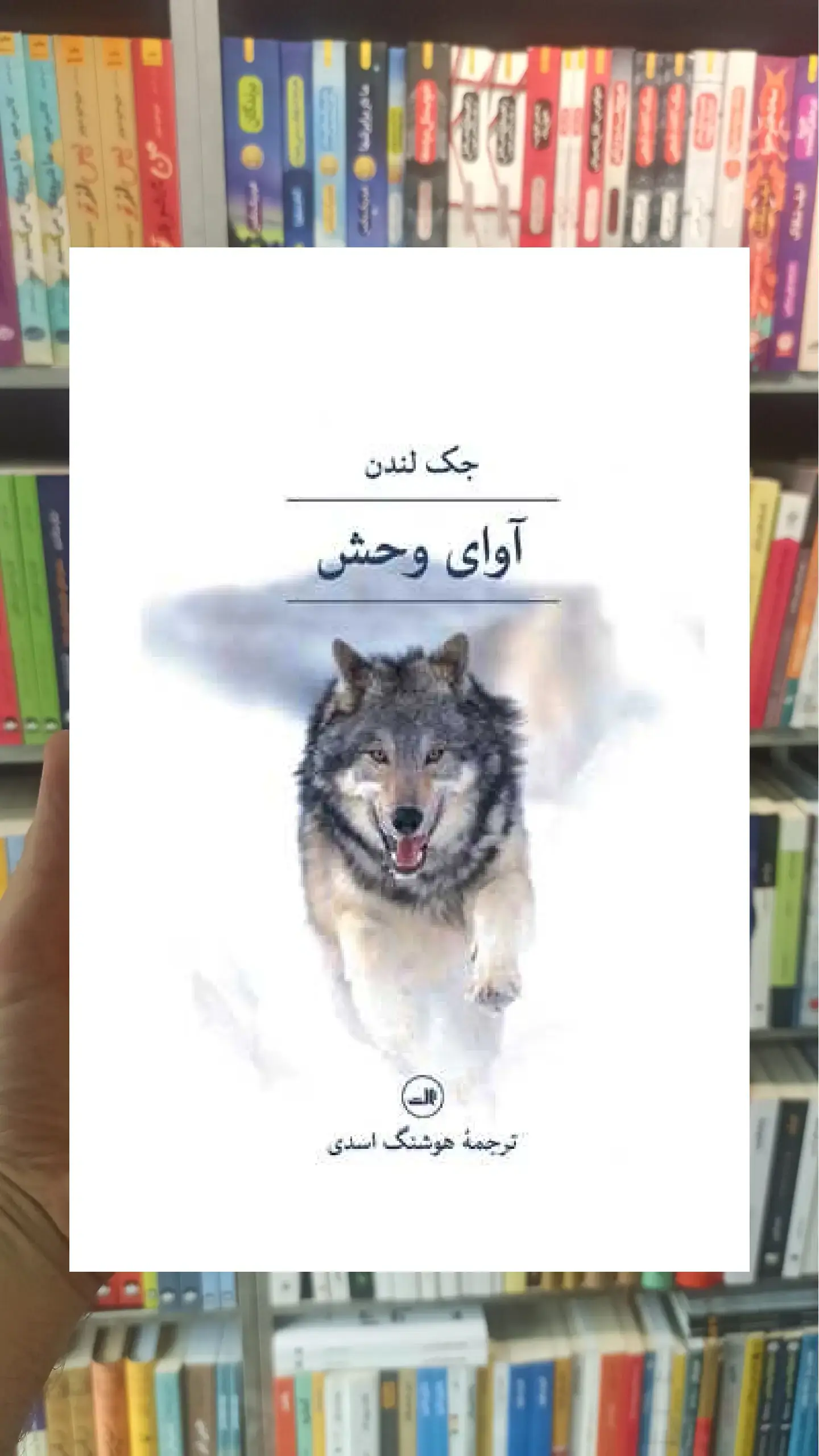 آوای وحش ثالث