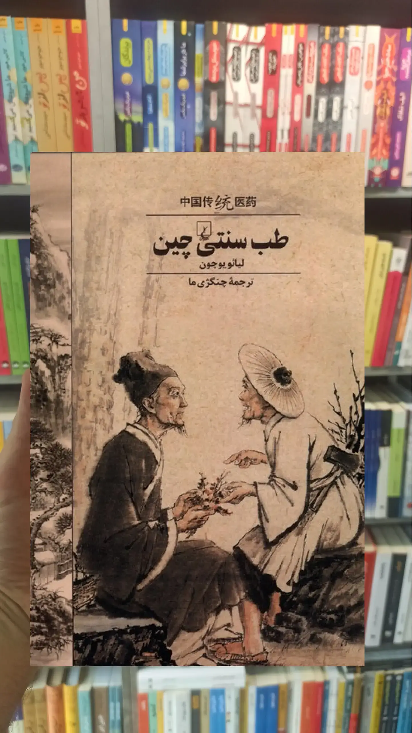 طب سنتی چین ققنوس