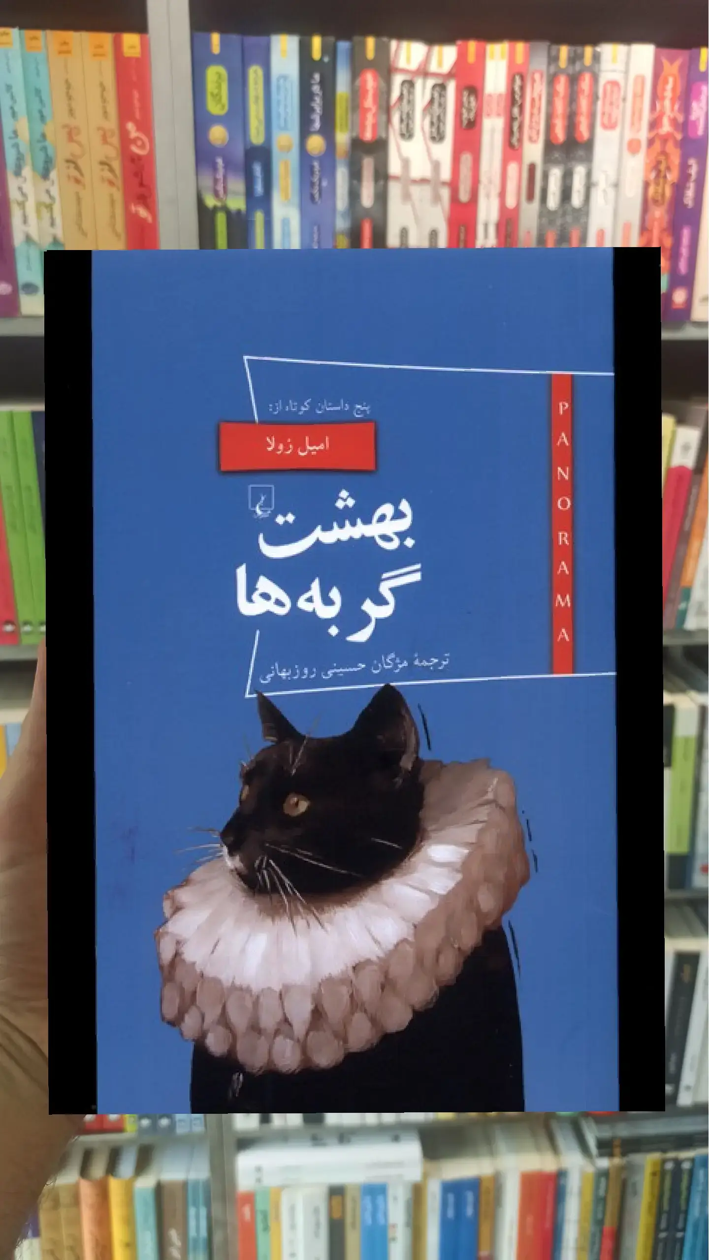 بهشت گربه ها ققنوس