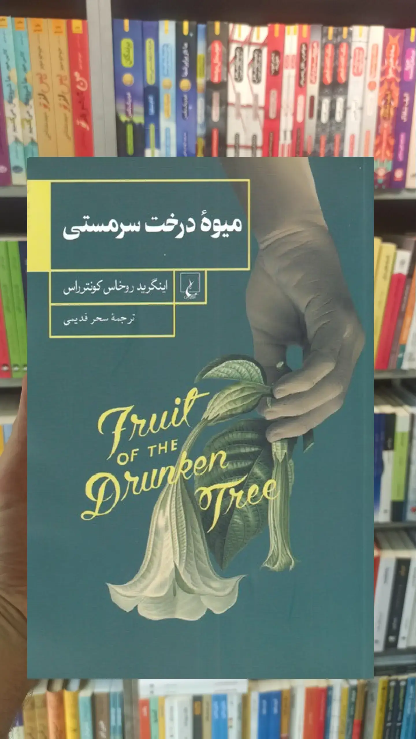 میوه درخت سرمستی ققنوس
