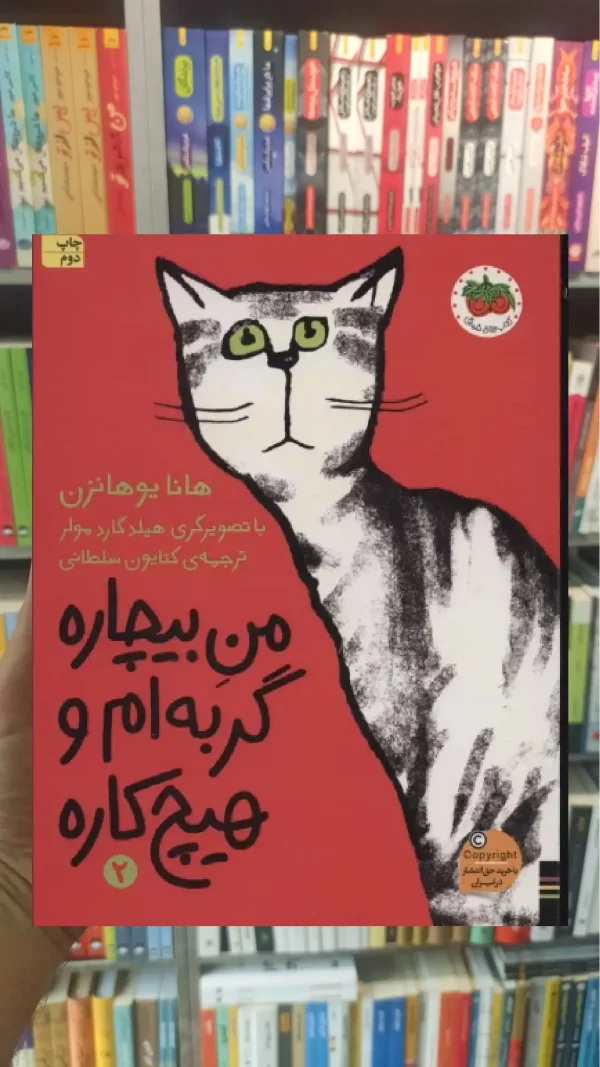 من بیچاره گربه ام و هیچ کاره افق
