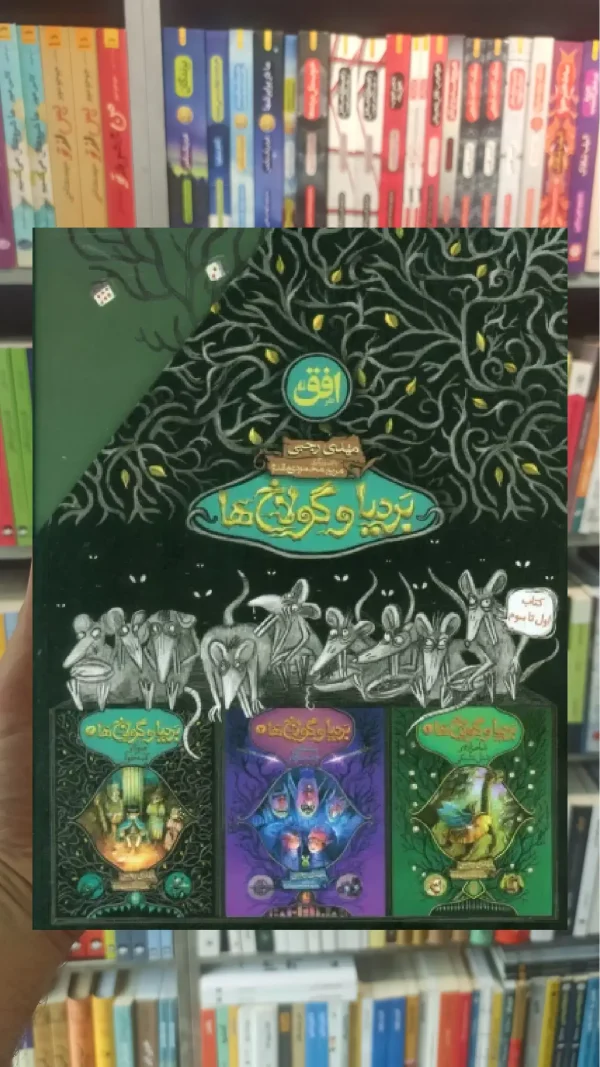 مجموعه بردیا و گولاخ ها 3جلدی با قاب افق