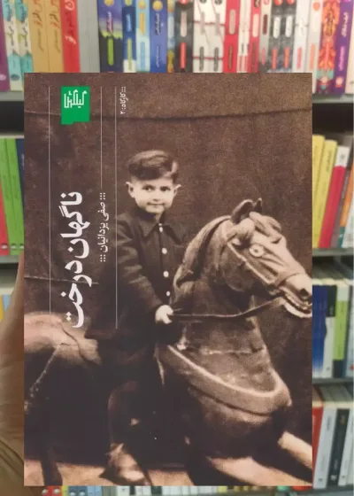 ناگهان درخت چشمه