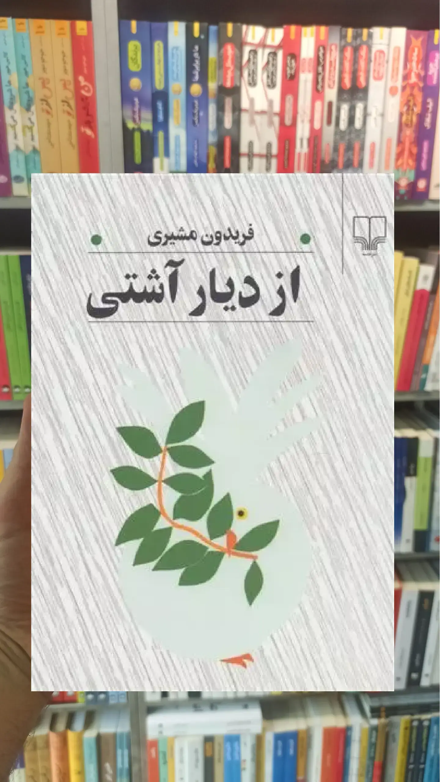 از دیار آشتی چشمه