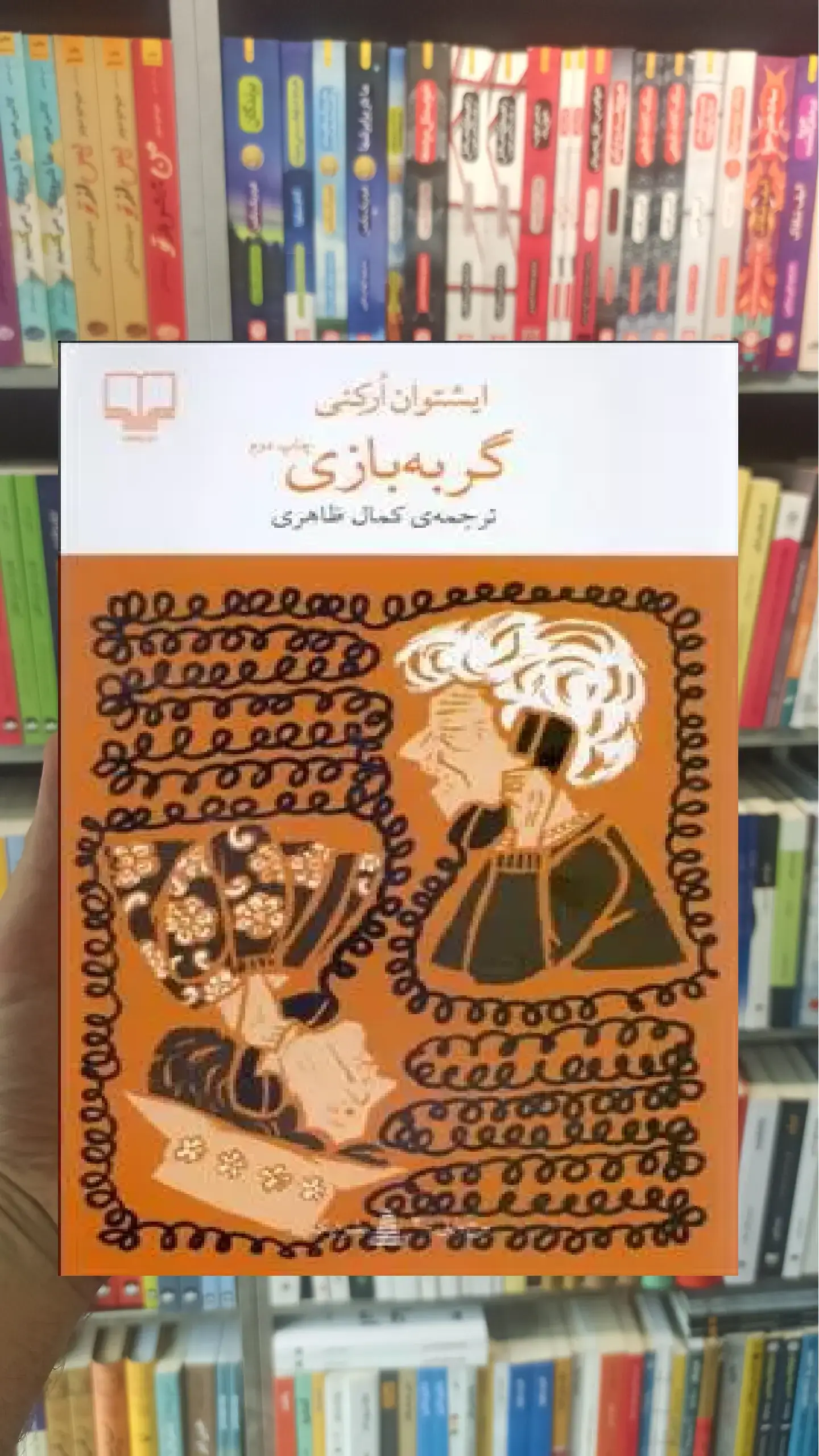گربه بازی چشمه