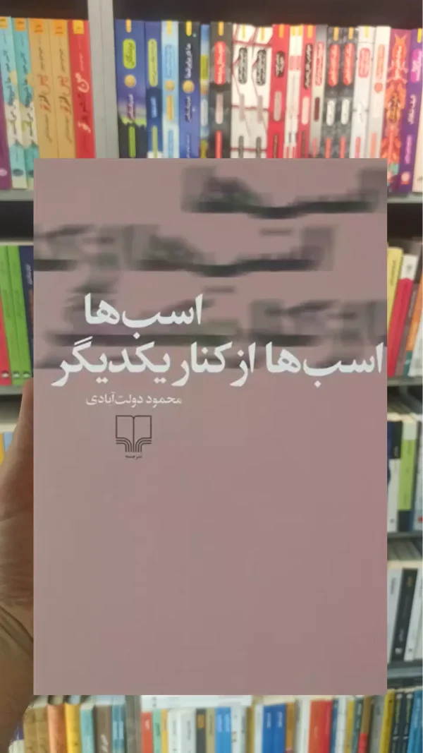 اسب ها اسب ها از کنار یکدیگر چشمه