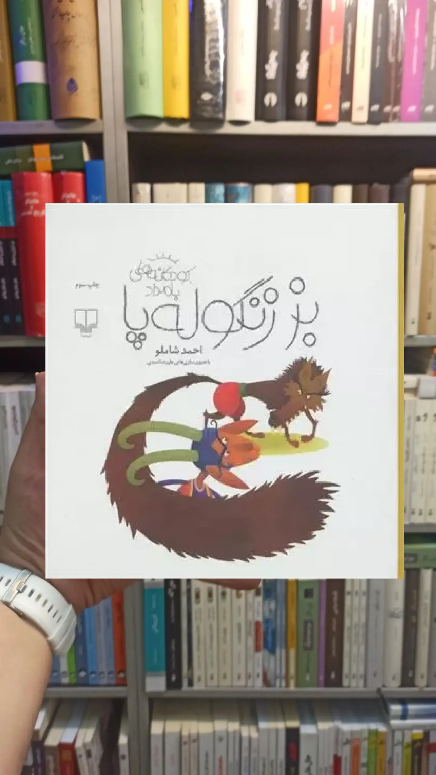 بز زنگوله پا چشمه