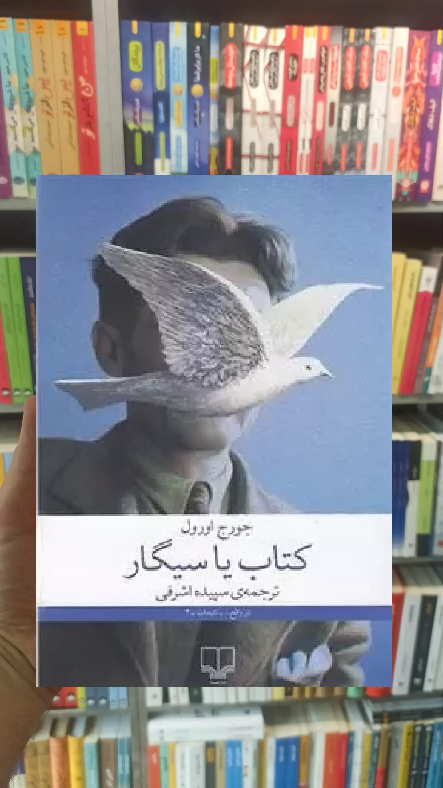 کتاب یا سیگار چشمه