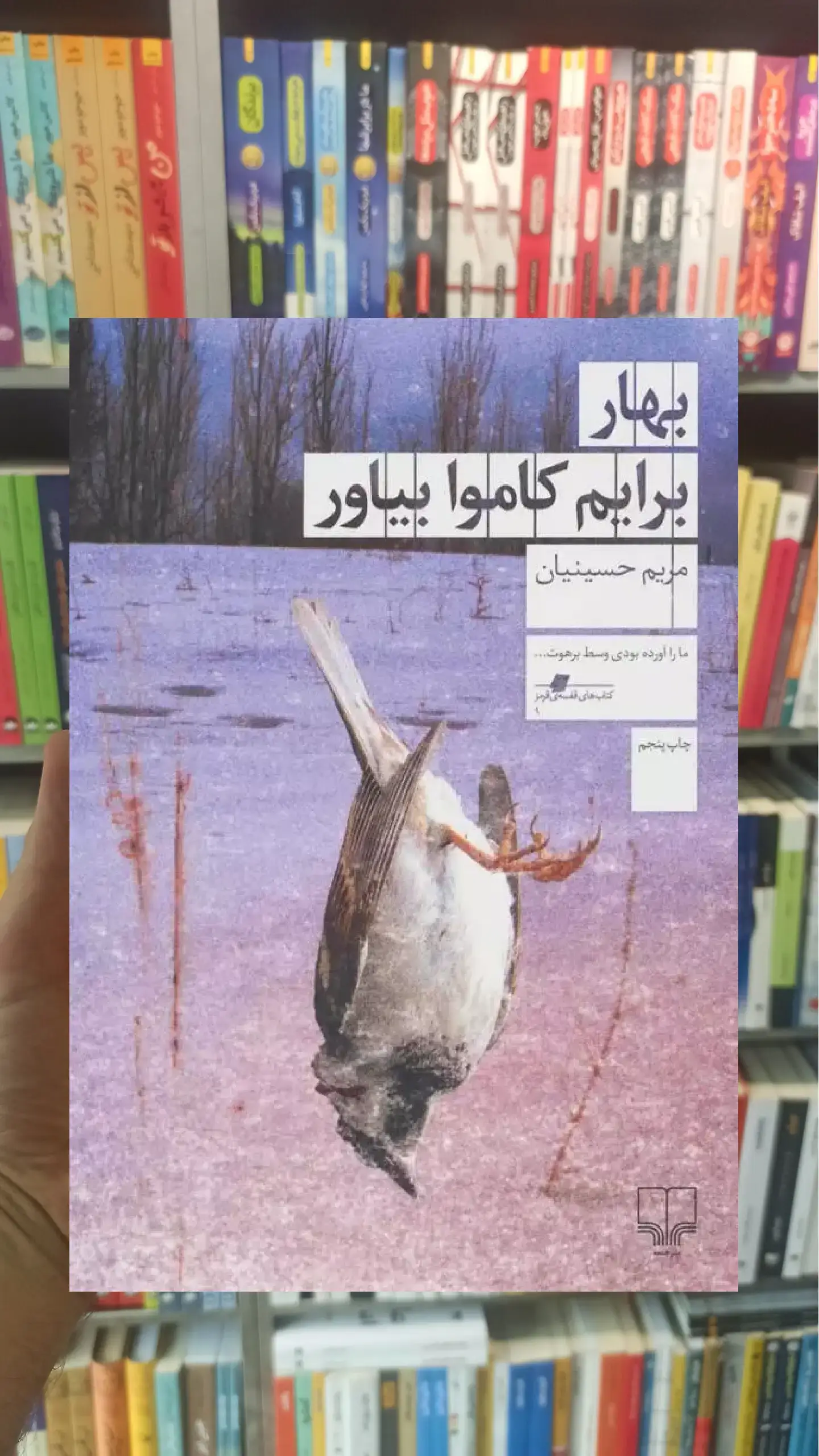 بهار برایم کاموا بیاور چشمه