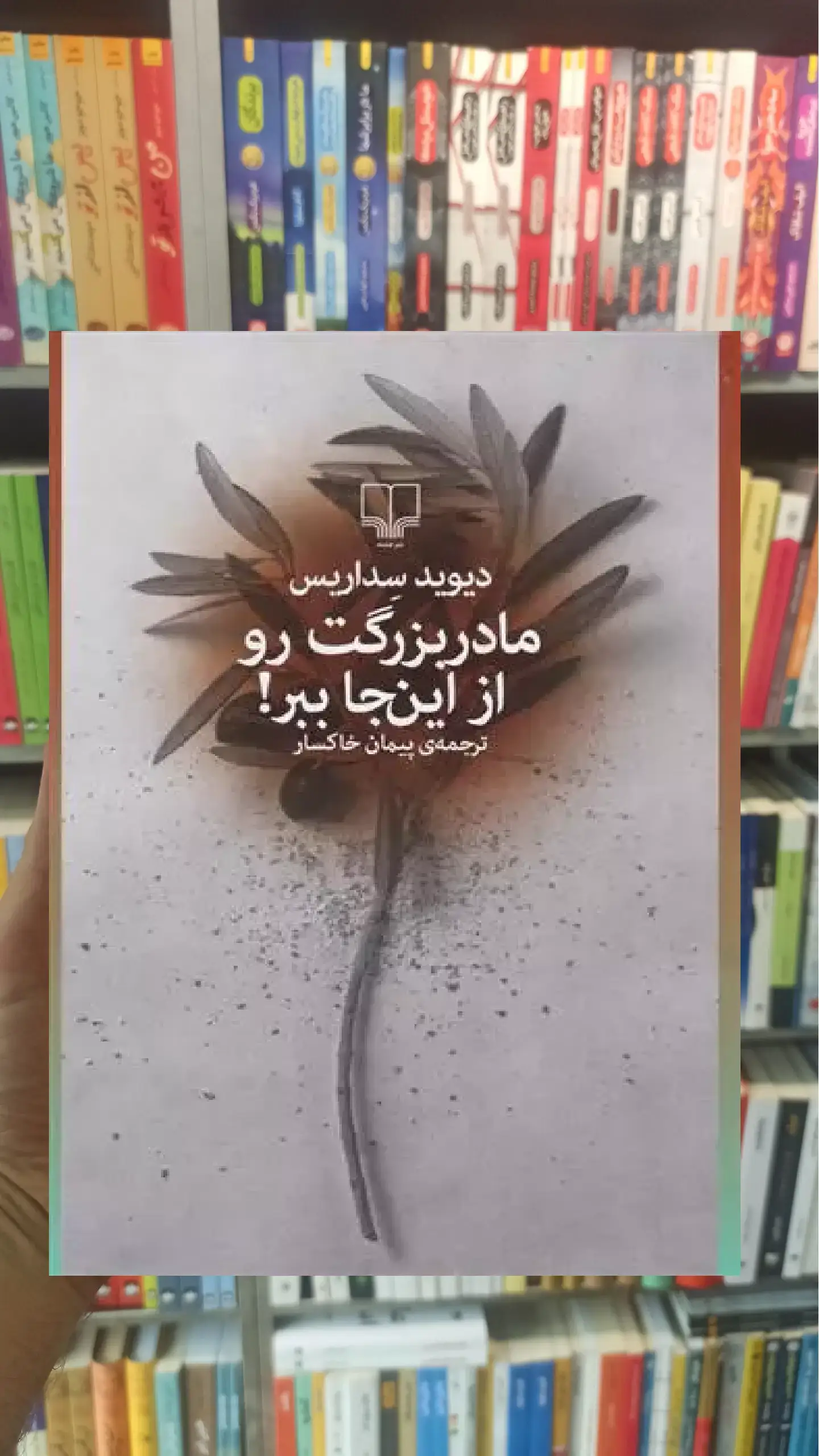مادربزرگت رو از این جا ببر چشمه