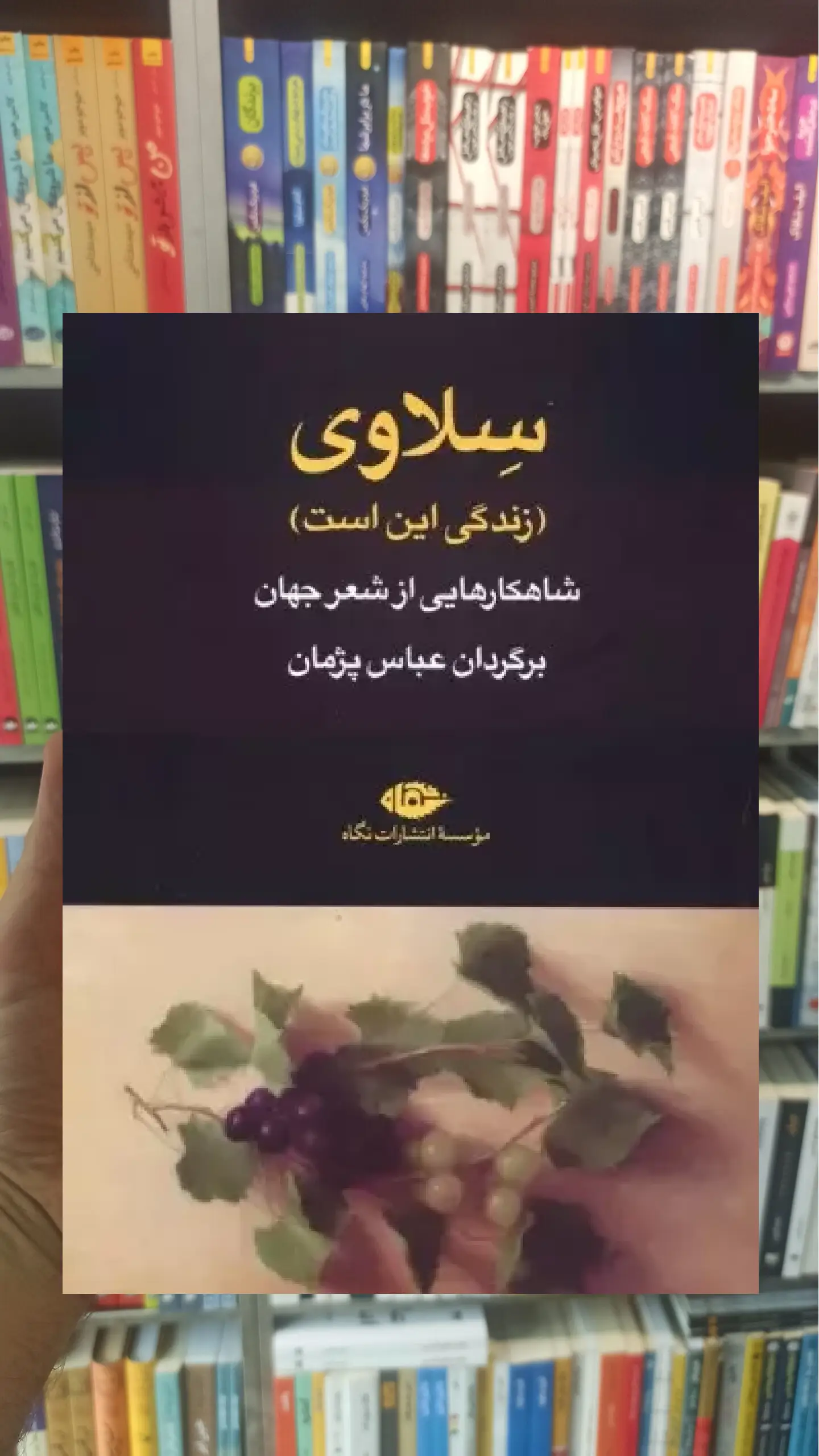 سلاوی ( زندگی این است ) نگاه