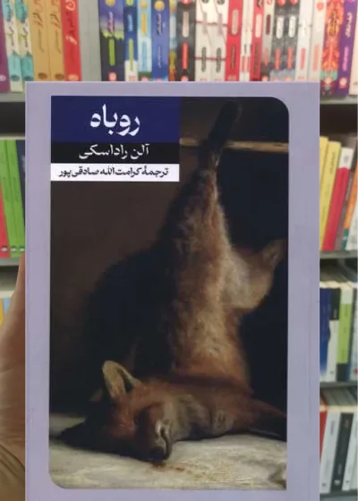 روباه آلن راداسکی امیرکبیر