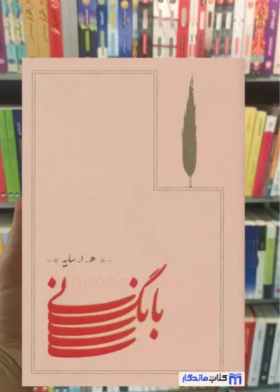 بانگ نی ابتهاج زرکوب کارنامه
