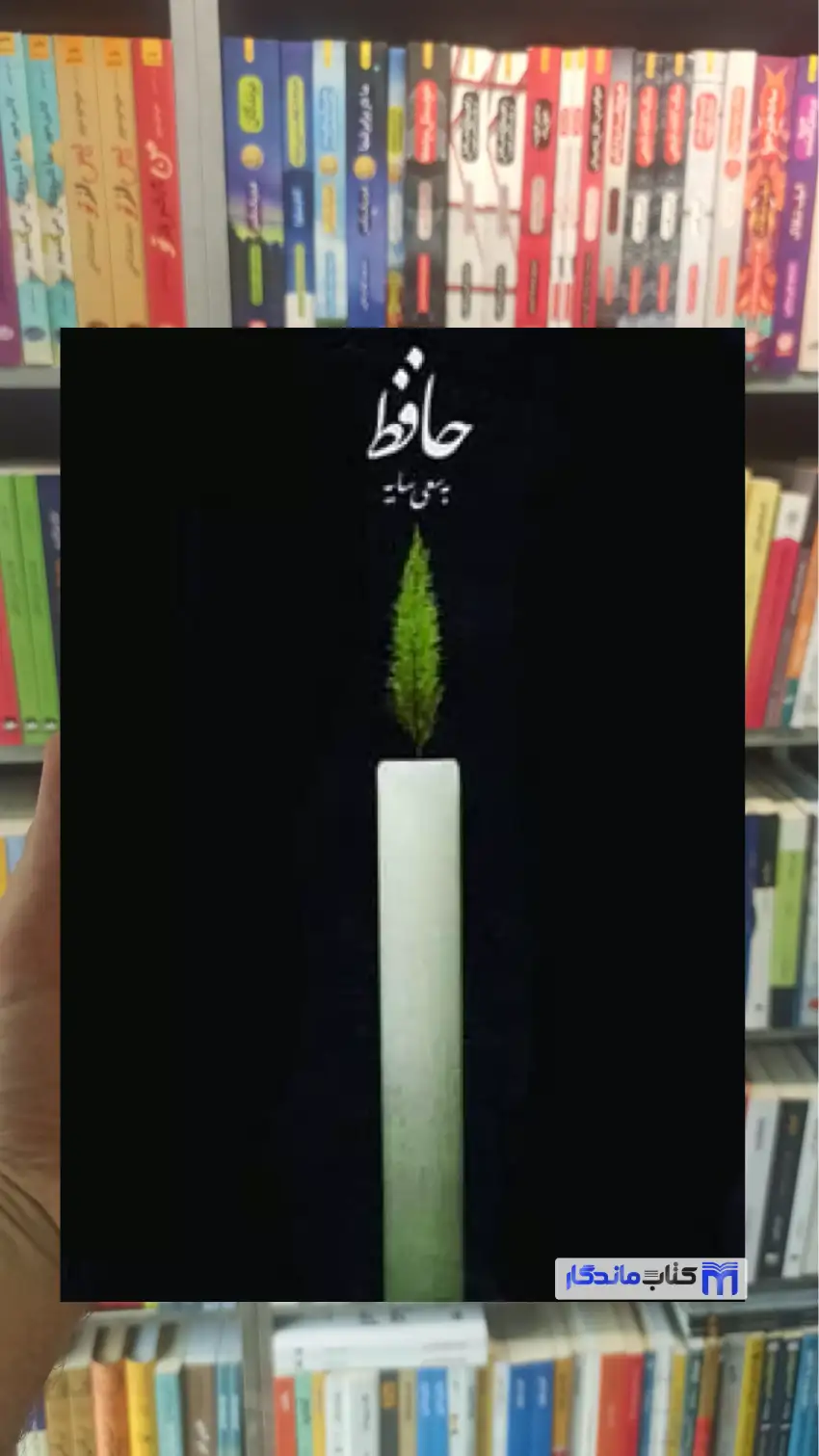حافظ به سعی سایه زرکوب کارنامه