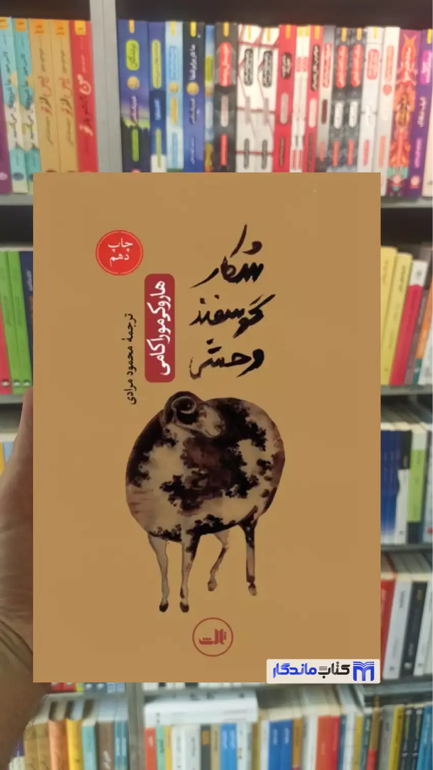 شکار گوسفند وحشی هاروکی موراکامی ثالث