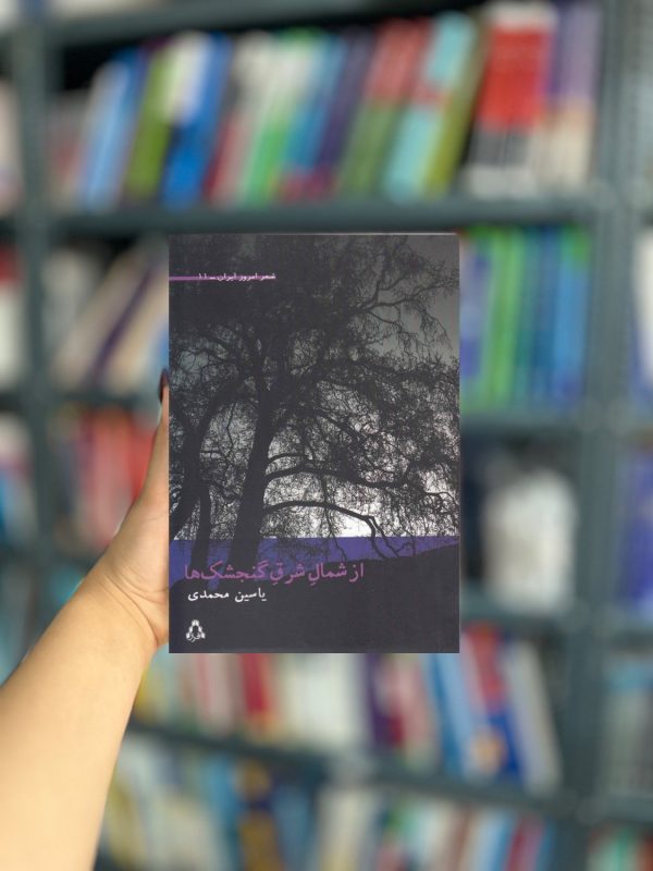 از شمال شرق گنجشک ها نشر افراز