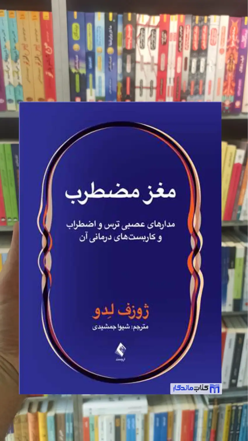 مغز مضطرب ژوزف لدو ارجمند