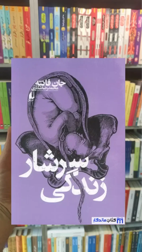 سرشار زندگی جان فانته افق