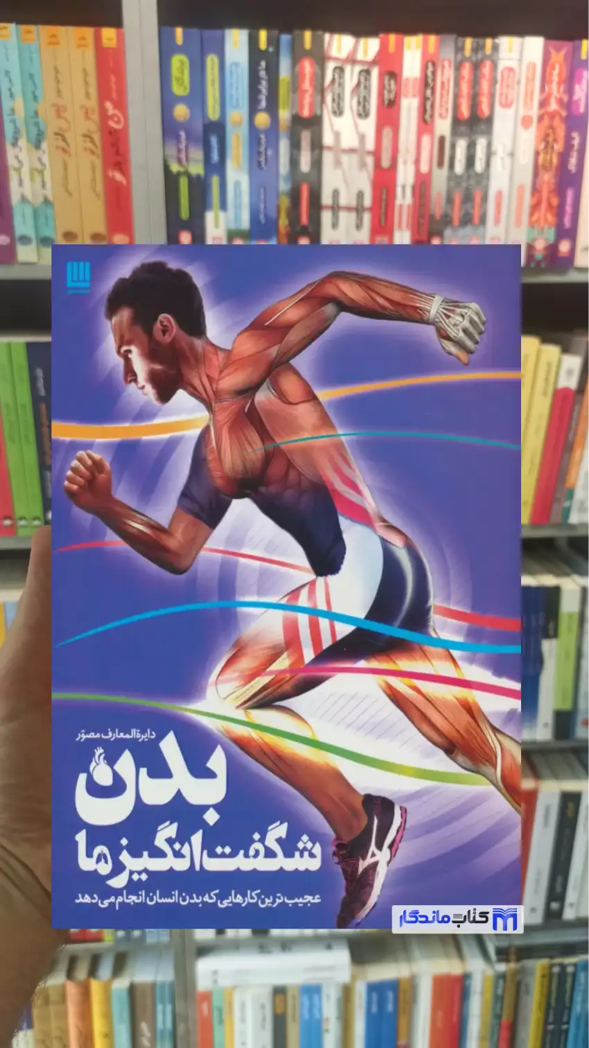 دایره المعارف مصور بدن شگفت انگیز ما استیو پارکر سایان