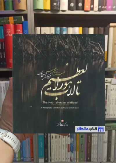 تالاب هورالعظیم  پوریا قلیچ خانی خانه فرهنگ و هنر گویا