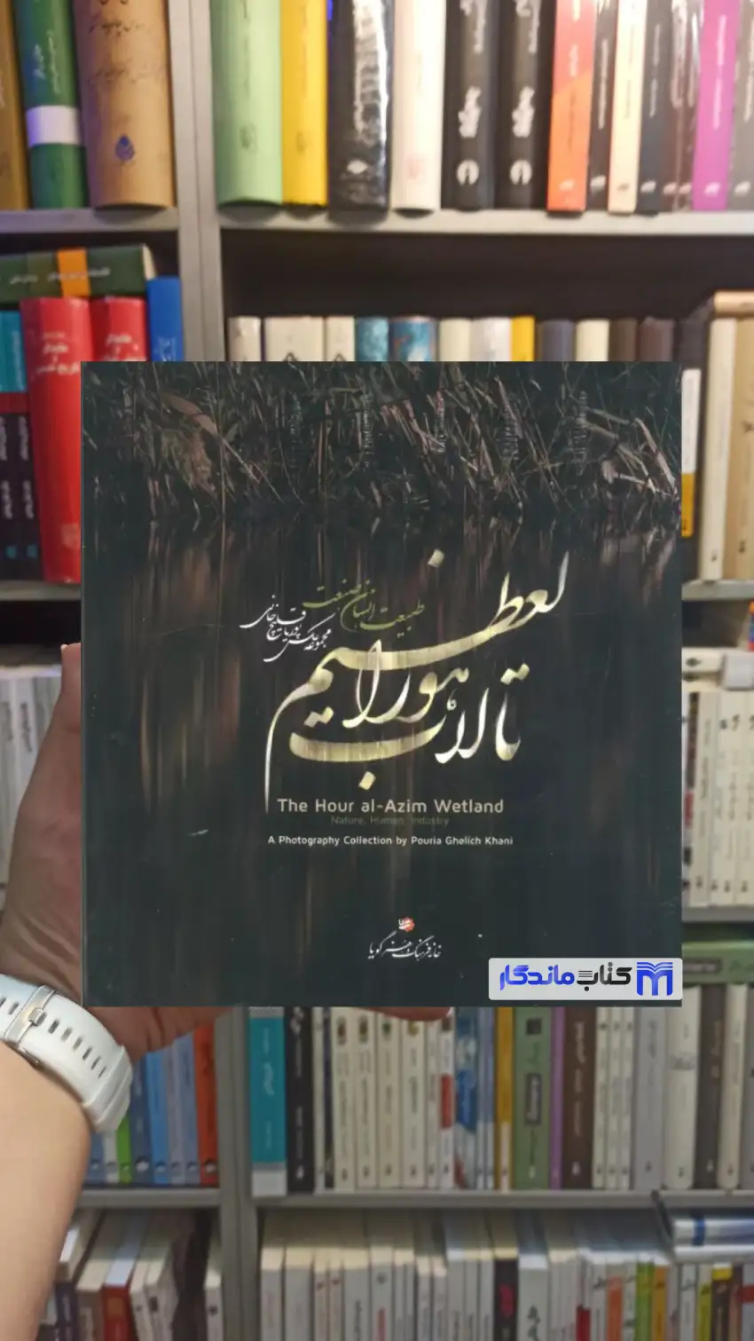 تالاب هورالعظیم  پوریا قلیچ خانی خانه فرهنگ و هنر گویا