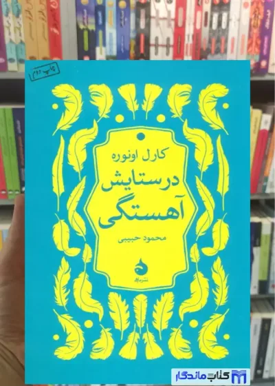در ستایش آهستگی کارل اونوره ماهی