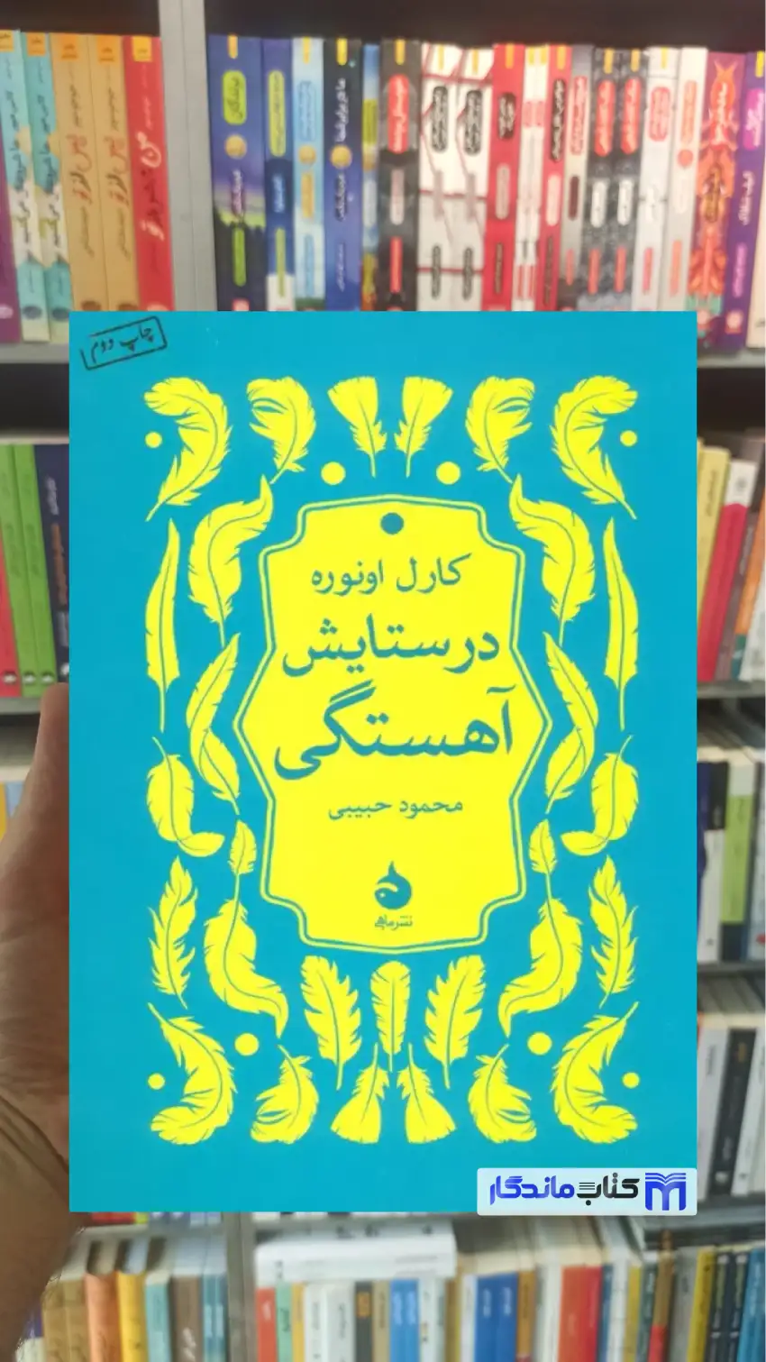 در ستایش آهستگی کارل اونوره ماهی