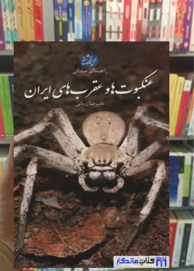 عنکبوت ها و عقرب های ایران گلاسه علیرضا زمانی ایران شناسی