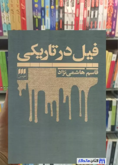 فیل در تاریکی قاسم هاشمی نژاد هرمس