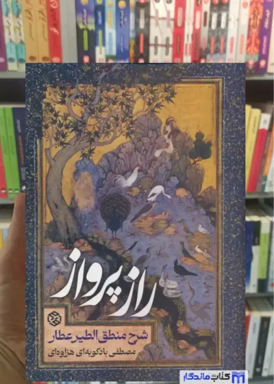 راز پرواز بادکوبه ای هزاوه ای روزنه