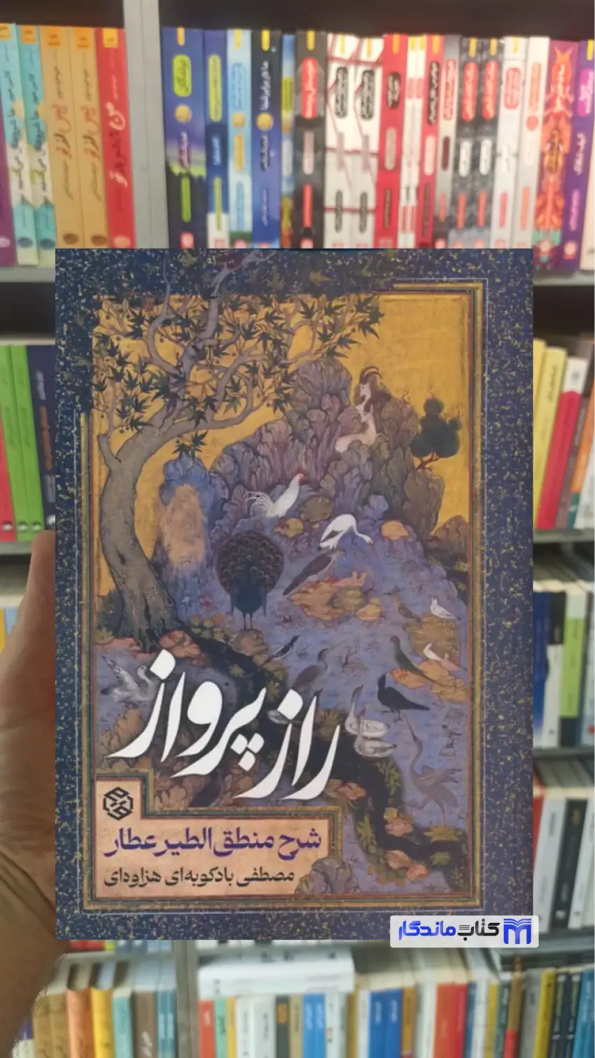 راز پرواز بادکوبه ای هزاوه ای روزنه